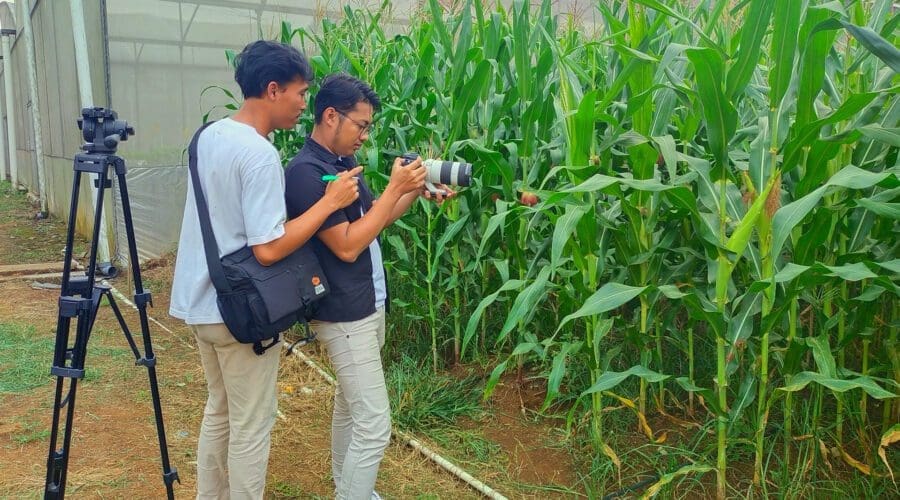 Jasa Video Company Profile Bontang